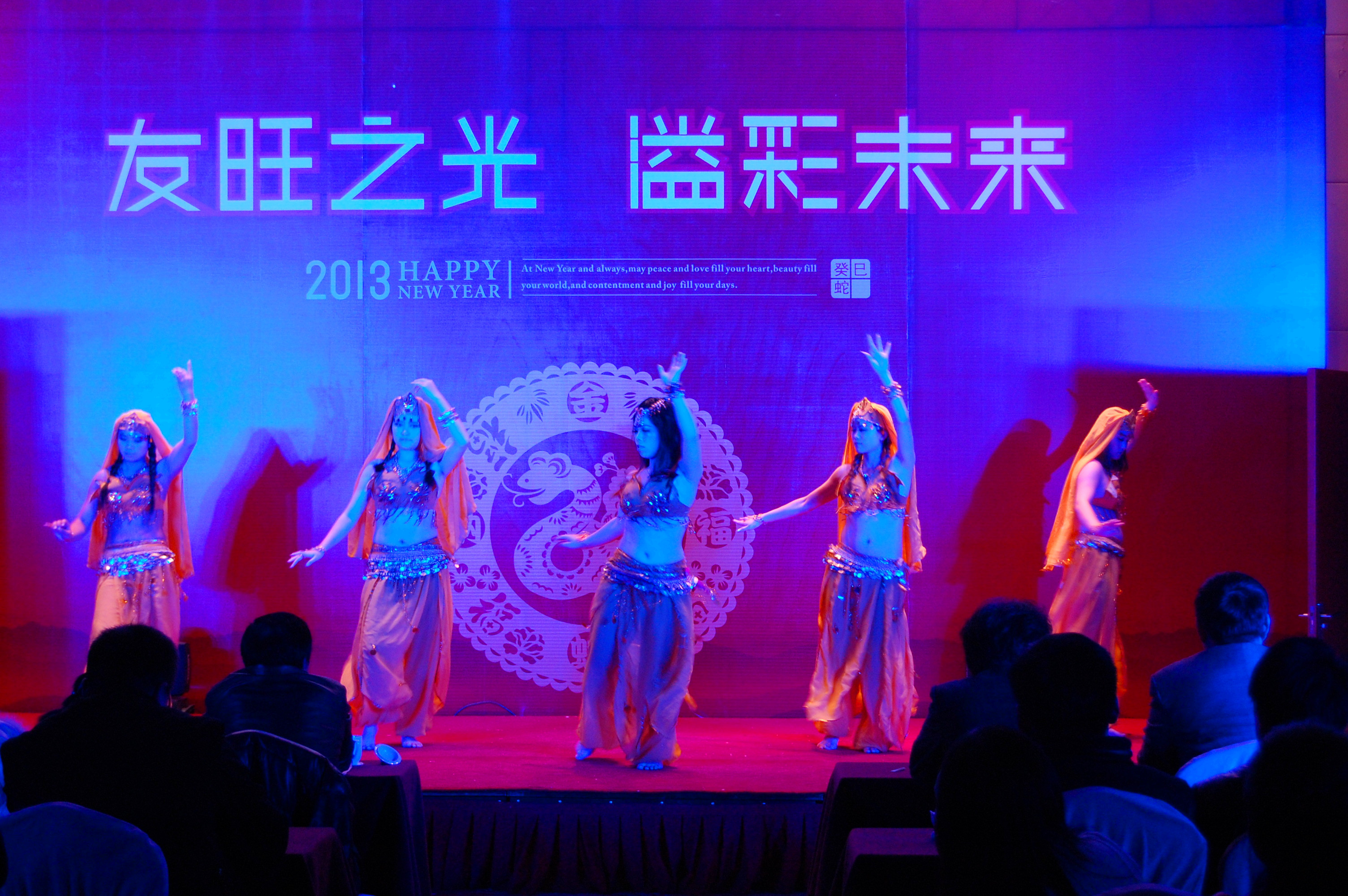
                            友旺之光，溢彩未來(lái)——公司舉行2012年度總結(jié)大會(huì)和迎新晚會(huì)